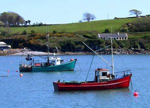 Fishing boats