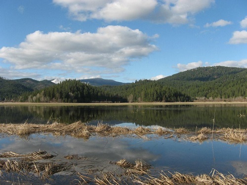 Newman Lake, McKenzie Conservation Area. Photo: Ken Vanden Heuvel