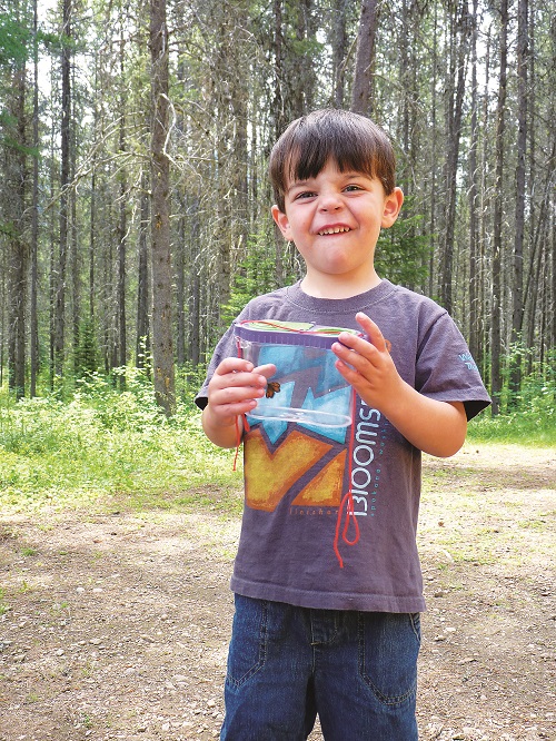 Catching bugs and butterflies near Glacier National Park. Photo: Amy McCaffree