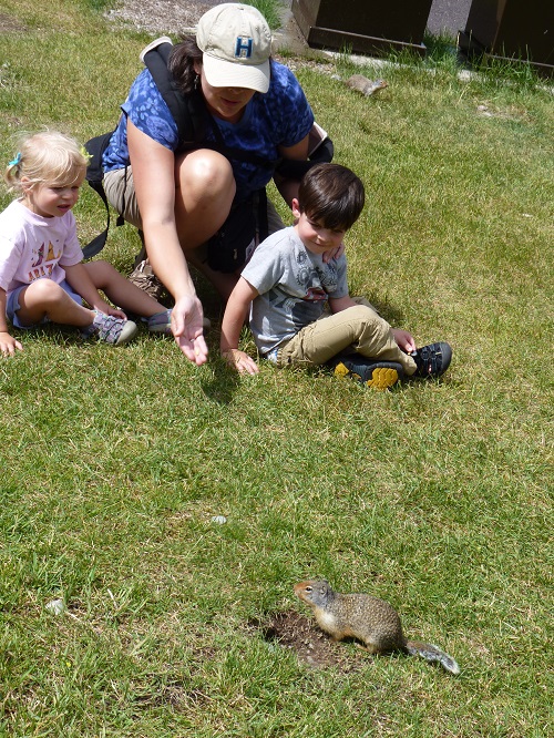 Introducing children to wildlife in natural surroundings, rather than a zoo, helps them learn the intrinsic value of a healthy habitat and sustainable ecosystem.