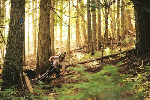 Mountain biking turning a corner on a forested trail at Mt. Spokane