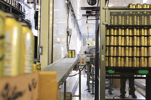 New batch of Orlison Brewing's Pilsner 37. Photo: Young Bennett