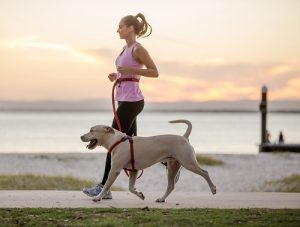 Running with a four-legged pal is as much about compromise as anything else. But it’s worth it. Photo: Charlotte Reeves