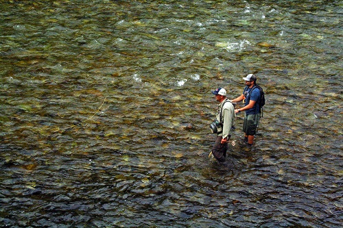 Fly Fishing Idaho's South Fork CDA River in July-Trailer for Prime