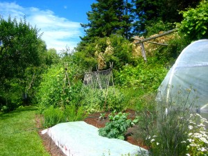 Bullocks Permaculture Homestead. Photo: Beth Mort