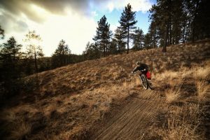 Bombing the Beacon bunchgrass. Photo: Skye Schillhammer