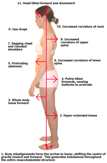 Body Alignment and Structural Balancing