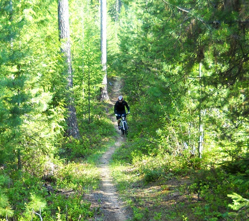 Saddle up and pack the beef jerky. The riding around Priest Lake can be wild, rugged and beautiful. Photo courtesy of Brad Naccarato