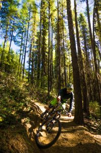 Chris Womsley making it look easy. Photos: Skye Schillhammer