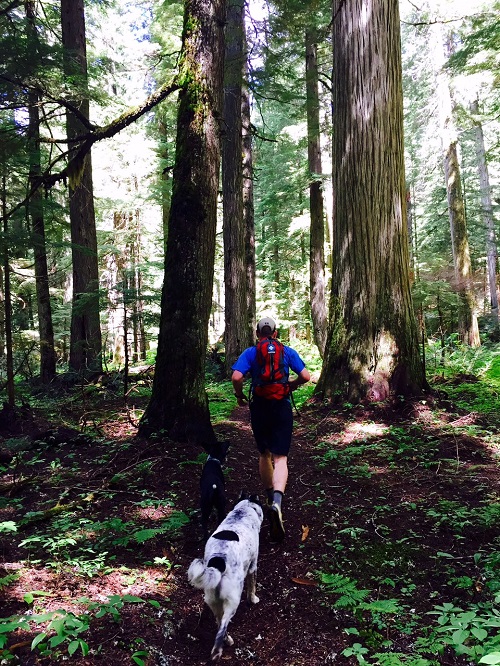 Woman with her dog along a dirt trail, past giant cedar trees, at Priest Lake.