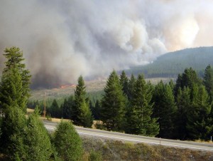 Photo courtesy of the U.S. Forest Service