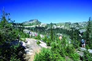 Hikers in the alpine wilderness.