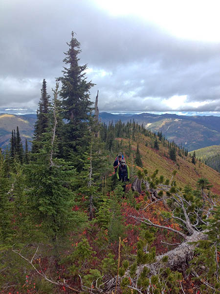 Two people hiking in Lookout Pass backcountry. 