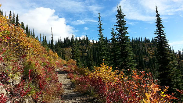 Hiking trail during fall with colorful leaves.