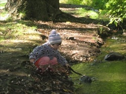 CreekPlay