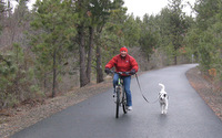 Photo on the Fish Lake Trail.