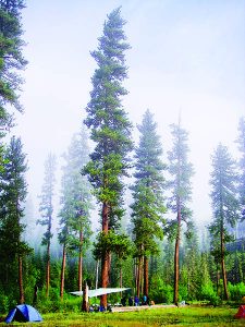 Boaters camp in the Selway-Bitterroot wilderness. // Photo courtesy of John Eliason.