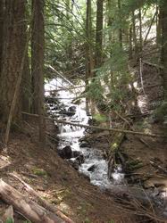 LibertyCreek