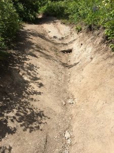 Be careful on this goat trail and stay away from rock ledges and cliffs--no rock climbing required to find this booty.