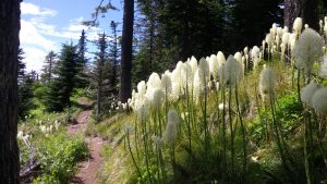 20160623_145503