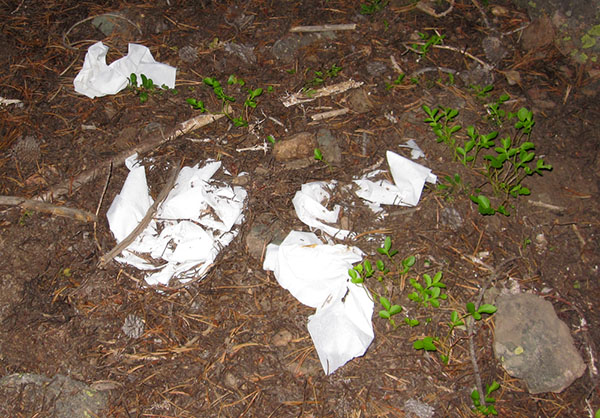 Discarded toilet paper in the wilderness.