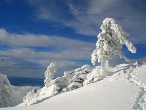 Mount Kit Carson summit. // Photo: Holly Weiler