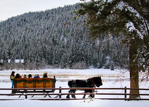 Sleigh riding at Bar W Guest Ranch in Whitefish © Brian Schott