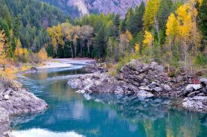 Photo of Flathead River. Photo from Common Domain.