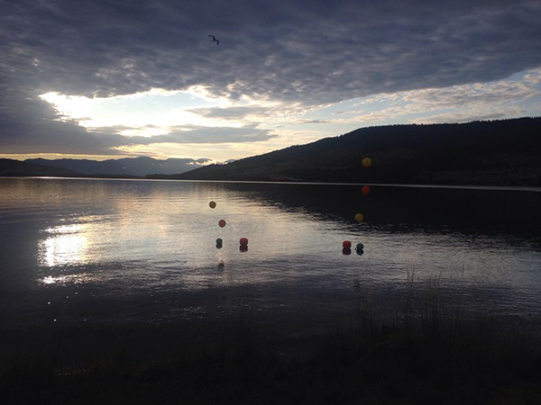 Photo of Flathead Lake courtesy of the Flathead Lake Swim Series.