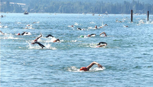 Open water swimmers wearing wetsuits and swim caps.