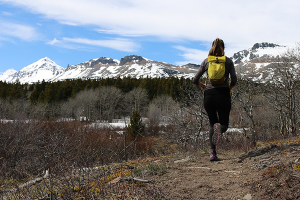 Trail running Firebrand Pass trail to Continental Divide Trail by Katie LeBlanc.
