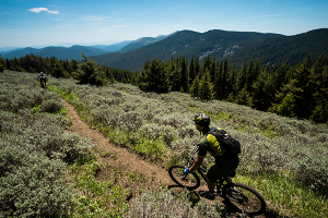 Photo of rider by Skye Schillhammer.