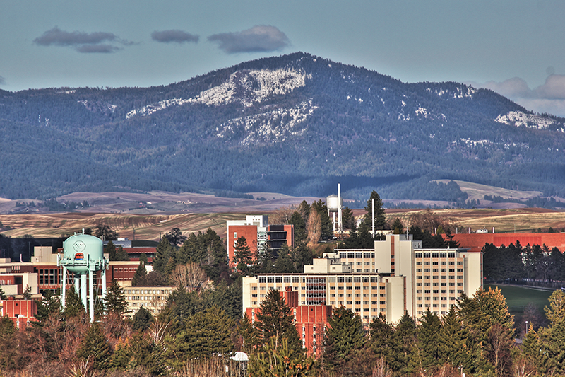 Photo of Moscow Mountain by Paul Chisholm.