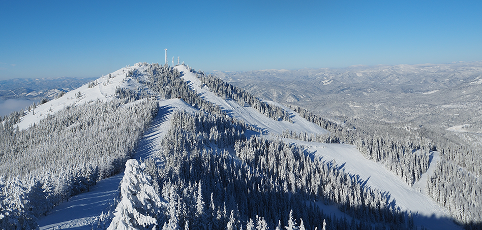 Skyline view of Silver Mountain, with snowy trees and ski runs.