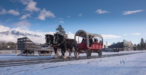 Cranbrook is close to two ski famed ski resorts, the Canadian Rockies Airport and as pictured here, Fort Steele Heritage Town. (Photo: Janice Strong)