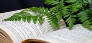 Photo of book and fern.