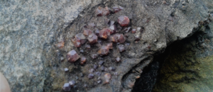 Closeup photo of garnets on a small boulder.