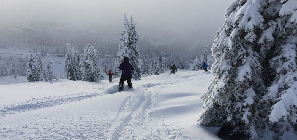 Photo of skiers in powder by Shallan Knowles.