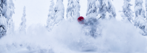 Photo of skier in deep powder.