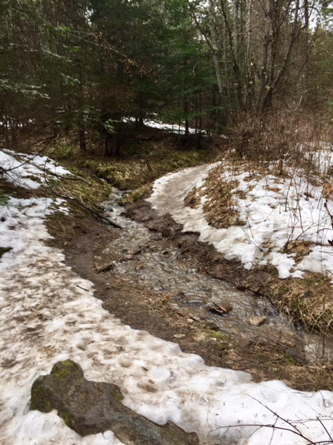 A trail that has a muddy river running through it in the Iller Creek area shared by Evergreen East on March 22, 2018.
