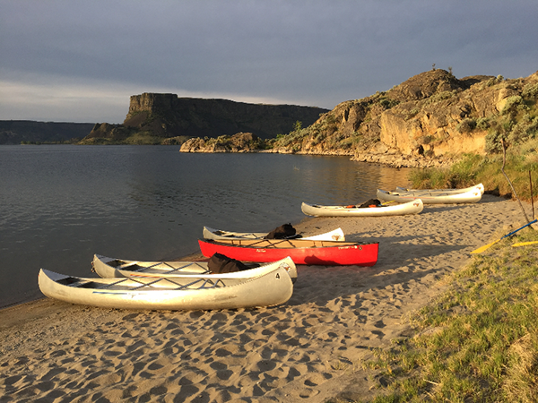 Photo of canoes lined up along the shore.