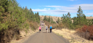 Photo of runners and walkers on paved trail.