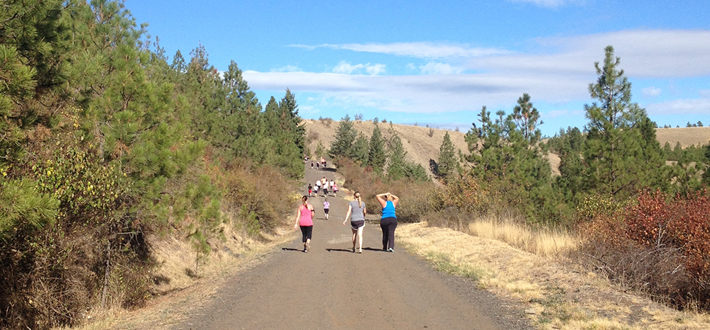 Photo of runners and walkers on paved trail.