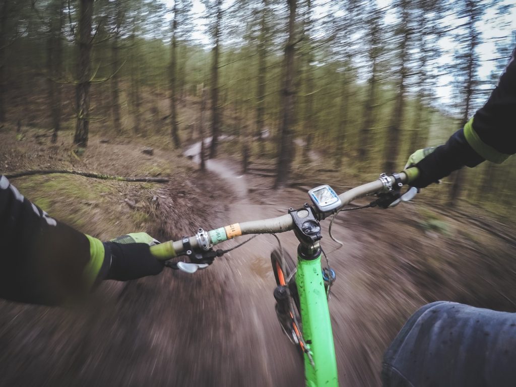 Photo of handlebar and trail from biker's perspective.
