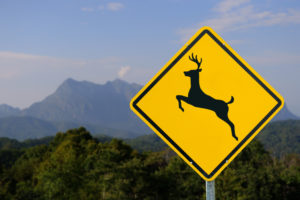 Photo of deer crossing warning sign for motorists.