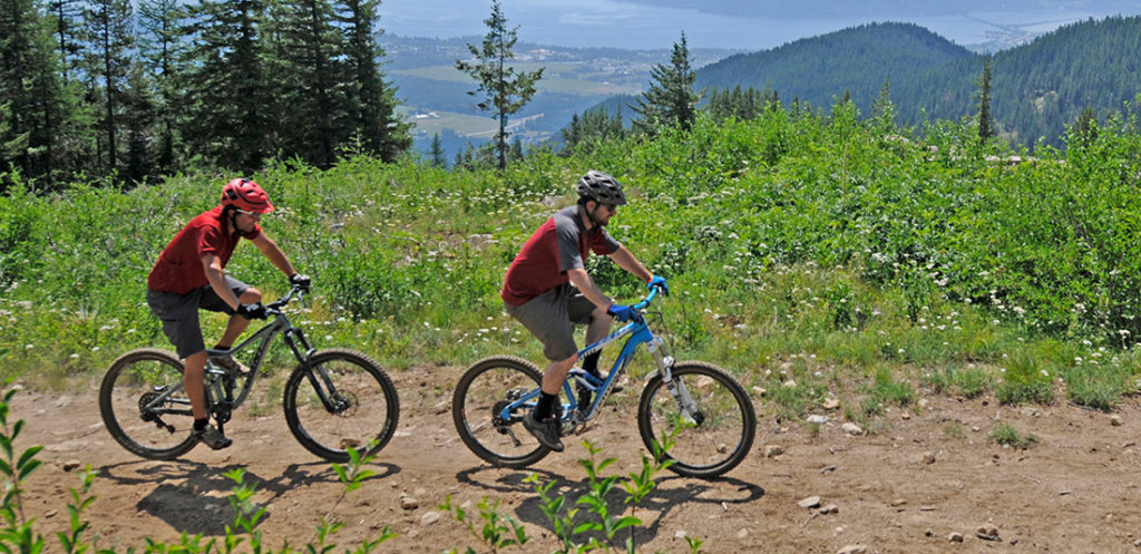 Photo of two mountain bikers riding on double track trail.