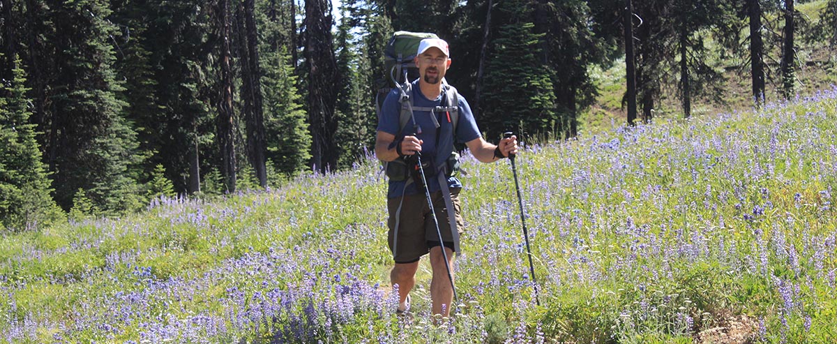 Photo of hiker on trail through lupine flowers.