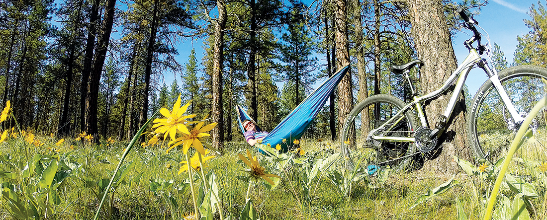 photo of hammock strung between trees in field with bike in foreground.