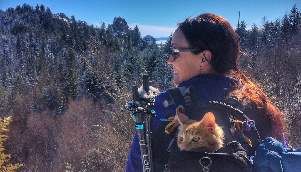 Photo of Leon the cat enjoying the view from a backpack pack.