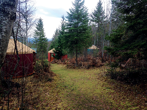 Photo of yurts in rainy weather.